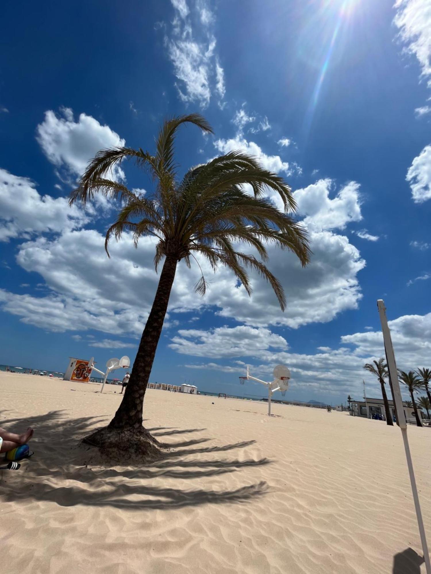 Playa de GandiaRincon De Maria- Segunda Linea De Playa-Ganador Traveller Awards 2025アパートメント エクステリア 写真